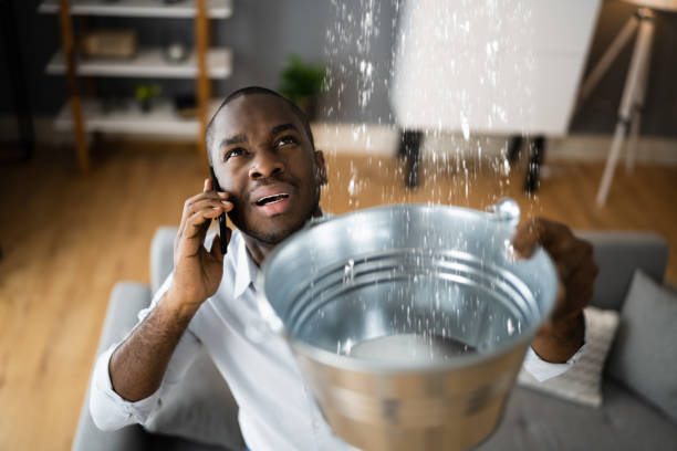 Best Residential water damage restoration  in Fairmont, WV