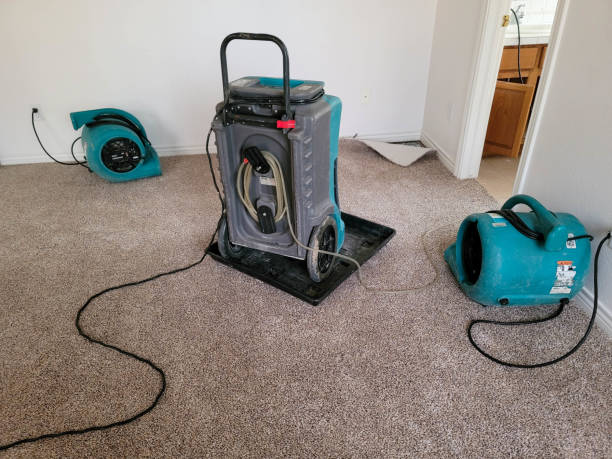 Best Professional water damage repair  in Fairmont, WV