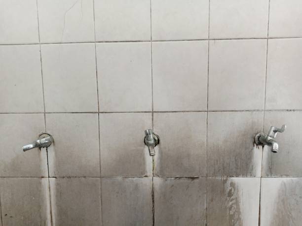 Best Carpet water damage restoration  in Fairmont, WV
