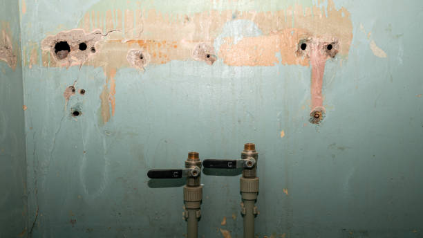 Best Carpet water damage restoration  in Fairmont, WV