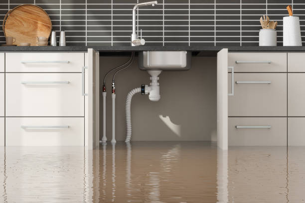  Fairmont, WV Water damage restoration Pros