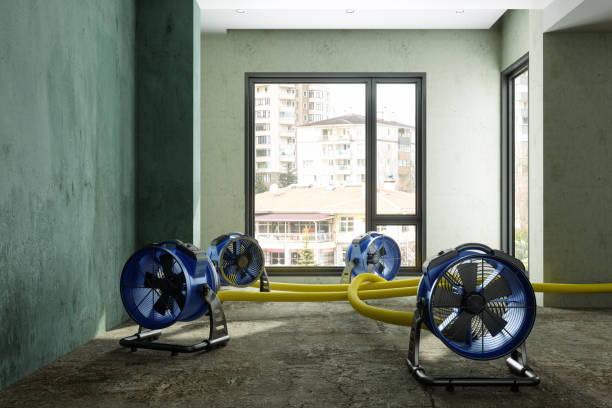 Best Water damage restoration mold remediation  in Fairmont, WV